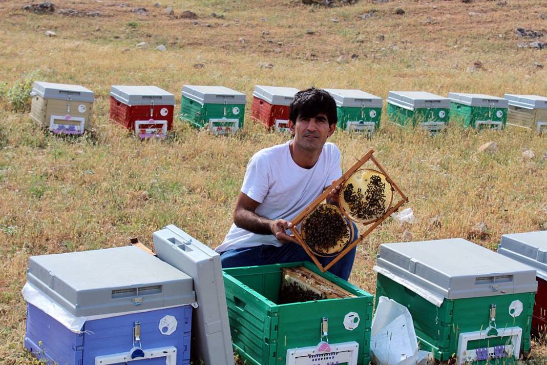 Arılarla dans eden adam: Kovanların yeni süper kahramanı! Bal gibi insan, arıların yakın dostu 2